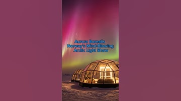 See The Aurora Like Never Before!