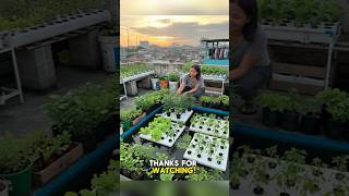 Grow Fish &amp; Veggies Together! DIY Urban Pond Planter Combo 🌿🐟 | Easy Aquaponics at Home