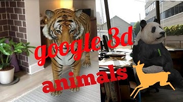 How to view Google 3D animals in your mobile./AR feature