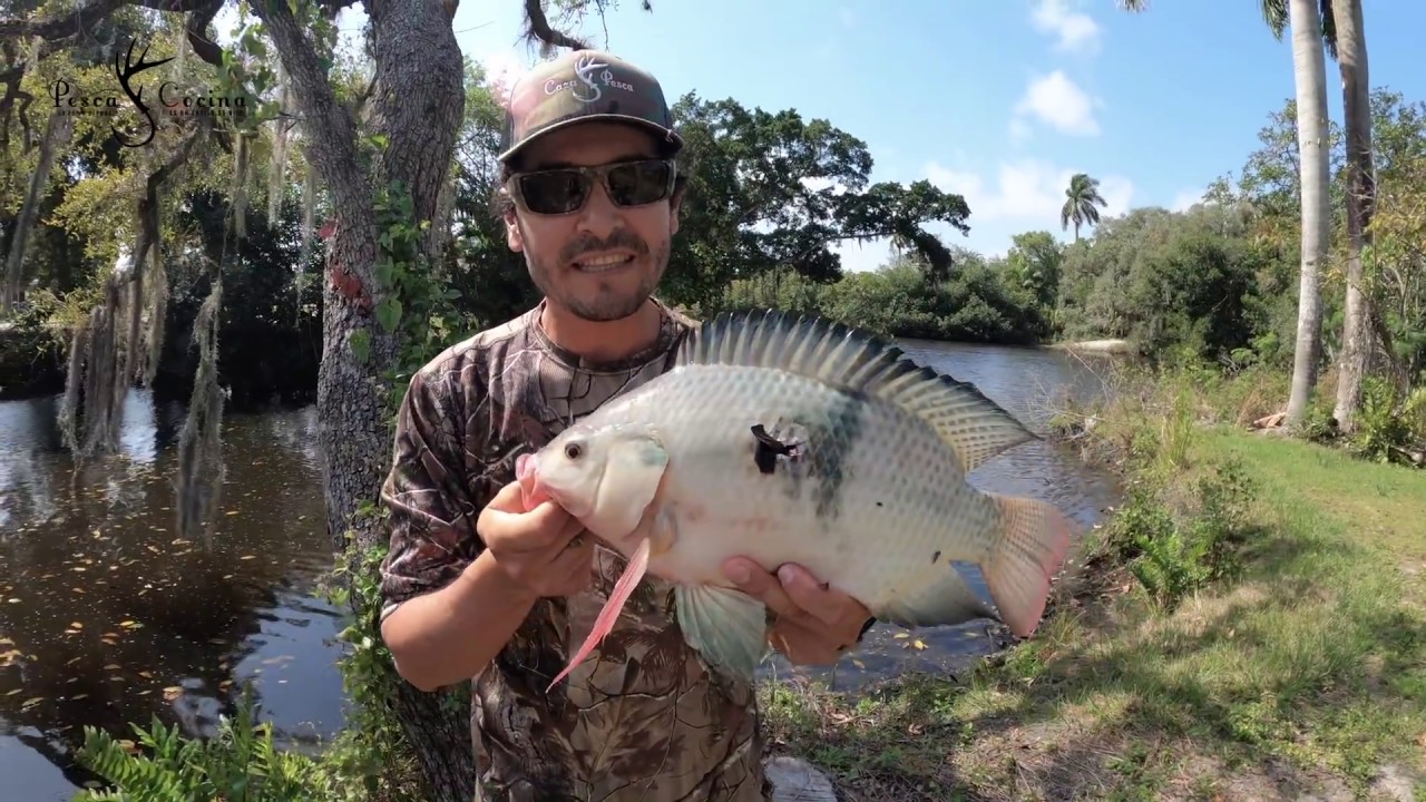 BowFishing Tilapia Fishing 