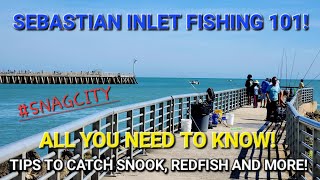 Sebastian Inlet Fishing 101! The Good, The Bad And The Ugly! Tips To Catch Monster Fish!