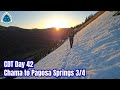 CDT Day 42