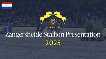 Zangersheide Stallion Presentation 2025 - NL 🇳🇱