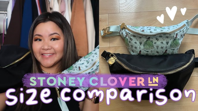 FANNY PACK COMPARISON, LOUIS VUITON, STONEY CLOVER LANE