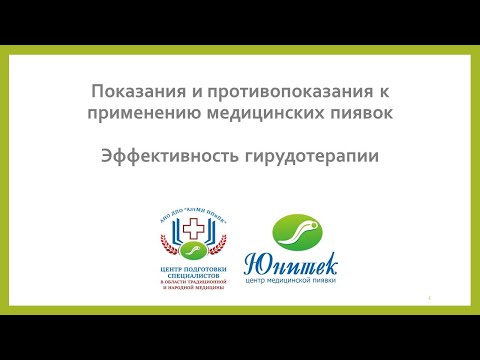 Показания и противопоказания к применению пиявок Эффективность гирудотерапии