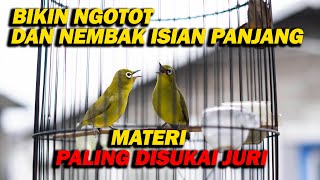 PANCINGAN PLECI BIKIN NGOTOT , MATERI TEMBAKAN PALING DISUKAI JURI