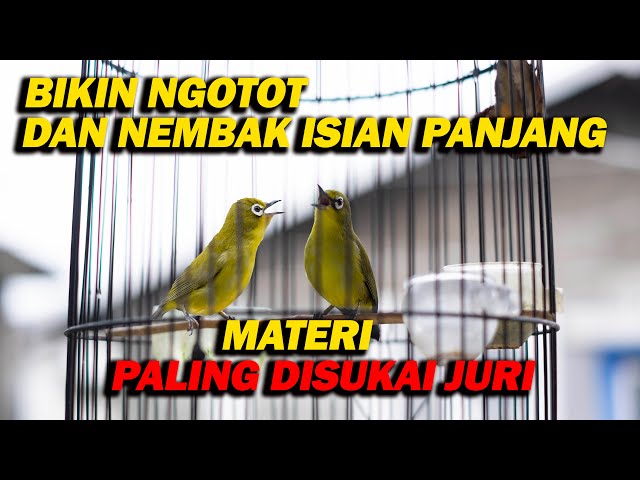 PANCINGAN PLECI BIKIN NGOTOT , MATERI TEMBAKAN PALING DISUKAI JURI class=