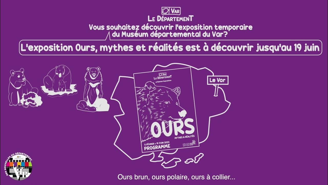 L’exposition Ours du Muséum départemental du Var YouTube