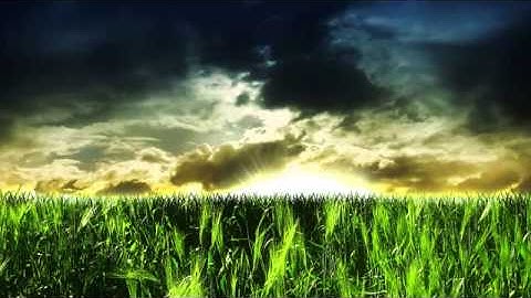 تلاوة خاشعة تجلى فيها الإبداع محمد اللحيدان