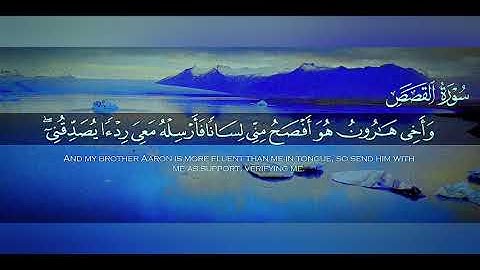 طارق محمد سورة القصص