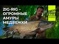 Медвежка -  Ловля амура на ZIG-RIG / Ловля карпа на Pop-Up / Кубок Мастеров 2018