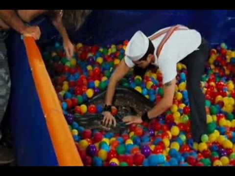 Jackass - Anaconda Ball Pit