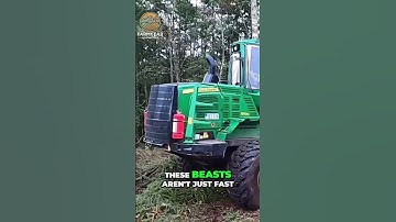 Insane Logging Machines: See Forestry Like Never Before!