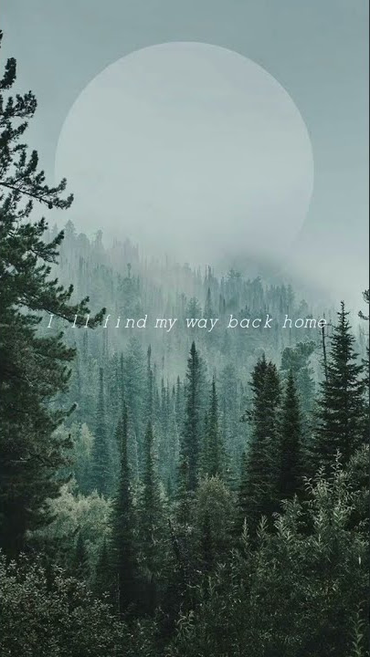 Way back home (Whatsapp status) (lyrics) Shaun | English song short lyrics