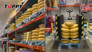 Changeur De Palettes Mobile Falcon Wings Manutention Des Produits Dans Lentrepôt Du Client