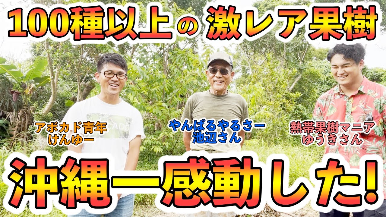 【完全版】熱帯果樹マニア必見！見たこともない果樹が盛り沢山！【やんばるはるさー：池辺俊晶さん】