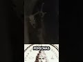 Un espíritu maligno 👁️ #teorias #terror #wendigo