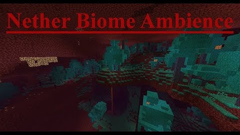 Nether Biome Ambience (as of 20w10a)