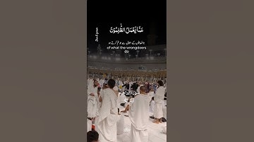 سورة ابراهيم آية 42 #تلاوة_خاشعة #تلاوة_هادئة #قران_كريم #tilawat #qurantilawat