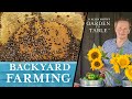 How to Farm in Your Backyard  | Garden to Table (108)