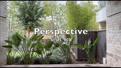 Sept 9th: Clarity & Perspective  -Language of Letting Go:daily meditations for Codependents |Beattie