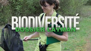 Laymans Report 2023 Wild Pollinator Monitoring