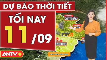 Dự báo thời tiết tối ngày 11/9: Mưa to tiếp diễn trên nhiều vùng miền | ANTV