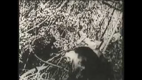 The first Tarzan movie ever made-1918-Elmo Lincoln in Tarzan of the Apes- Full classic fil