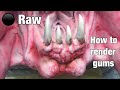 ⚫️ Raw - rendering Predator's gum