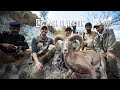 Pakistan Punjab Urial Sheep | Mark Peterson Hunting