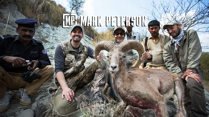 Pakistan Punjab Urial Sheep | Mark Peterson Hunting