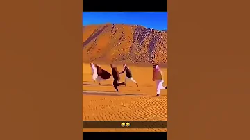 سباق الهجن مضحك 