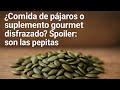 Semillas de calabaza: el snack tímido que calma tus nervios y protege tu próstata