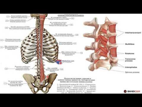 Әйелімнің алдында секс (видео желіде) Шалбардағы хатшылардың сапалы порносы
