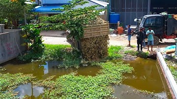 Perfectly Start Project LANDFILL Rock Soil In Box Water Processing By Komatsu Dozer & 5ton Trucks