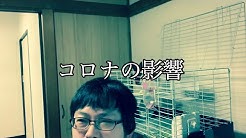 漫画家木村隆志 Youtube 漫画家木村隆志 Youtube