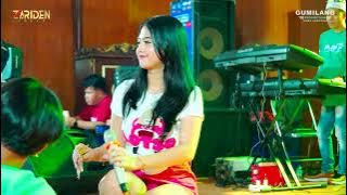 ZARIDEN MUSIC - IMING IMING - DIANDRA AYU - HALAL BIHALAL MR.FISH - RM. SAPTORENGGO PATI