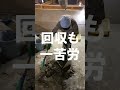 一番疲れるひな舎の掃除【美里オーストリッチファーム】#shorts