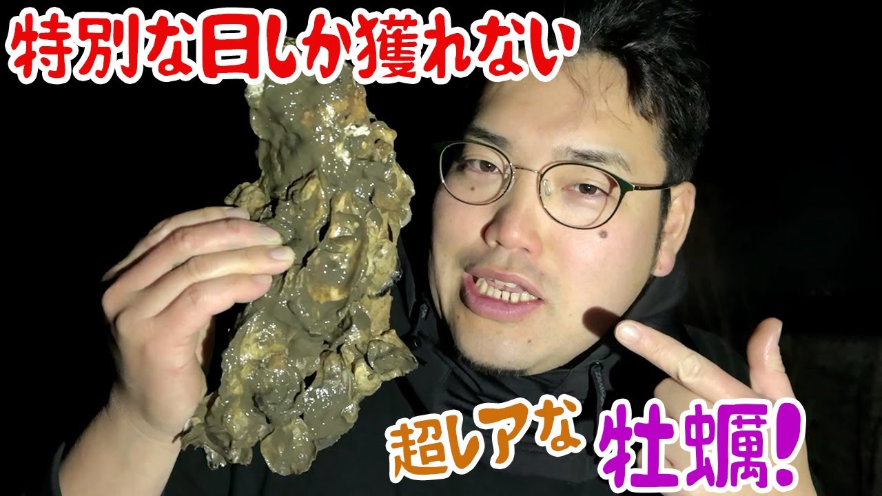 特別な日しか獲れない超レアな牡蠣