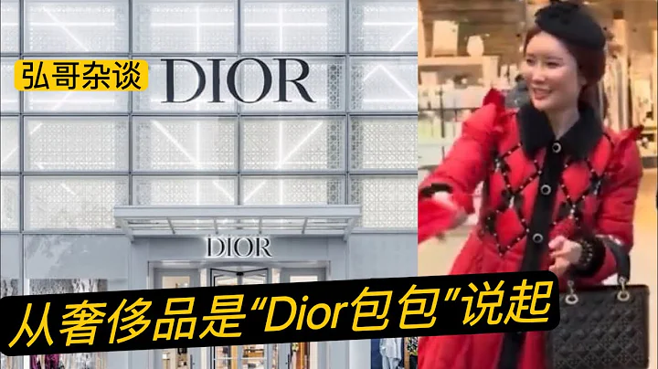 从“英国美女”的奢侈品包包“Dior”说起，这个包包在哪买的呢？春晚看不到的这一幕，我现在就给您补上！ - 天天要闻