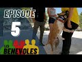 Les Bénévoles - Episode 5 - Esprit Dog