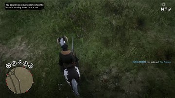 Error: 0x20010006 - Red Dead Redemption 2