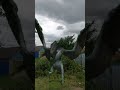 Встреча с Настоящим Драконом| видеосъёмка #подпишись #ставьлайк #дракон #видеосъёмка