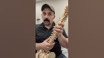 Thoracic Spine Motion and Responsibilities