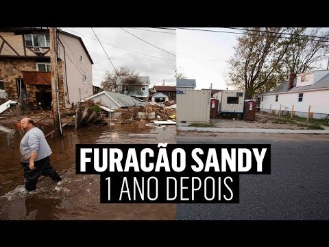Vídeo: Centenas De Animais De Estimação Continuam Desabrigados Um Ano Após O Furacão Sandy