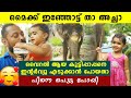 ആനപ്രേമി ഭാമ ഇവിടുണ്ട്  | Oneindia Malayalam