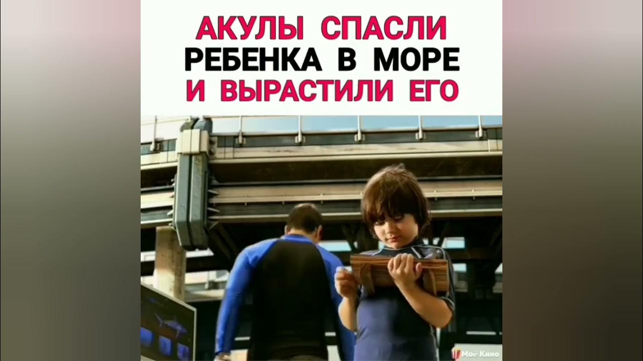 Акула спасла мальчика. Акула спасла мальчика. Акула спасла мальчика. Акула спасла мальчика. Акулы спасли ребенка в море.