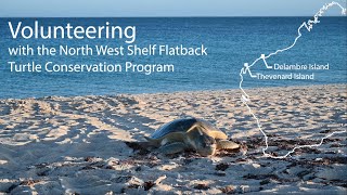 Volunteers show what’s involved in annual turtle monitoring on two islands off WA’s coast