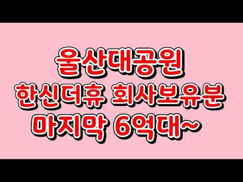 울산대공원 한신더휴 2025년 8월 입주예정 마지막 회사보유분 6억대