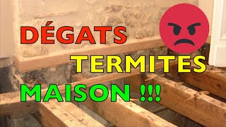 TERMITE et TRAVAUX : Conseils nombreux, Prévention et Traitement.